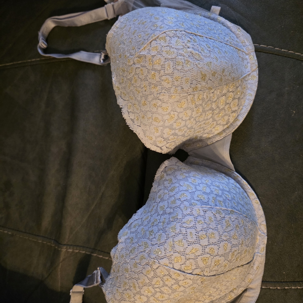 Lace Padded Bra in Light Gray